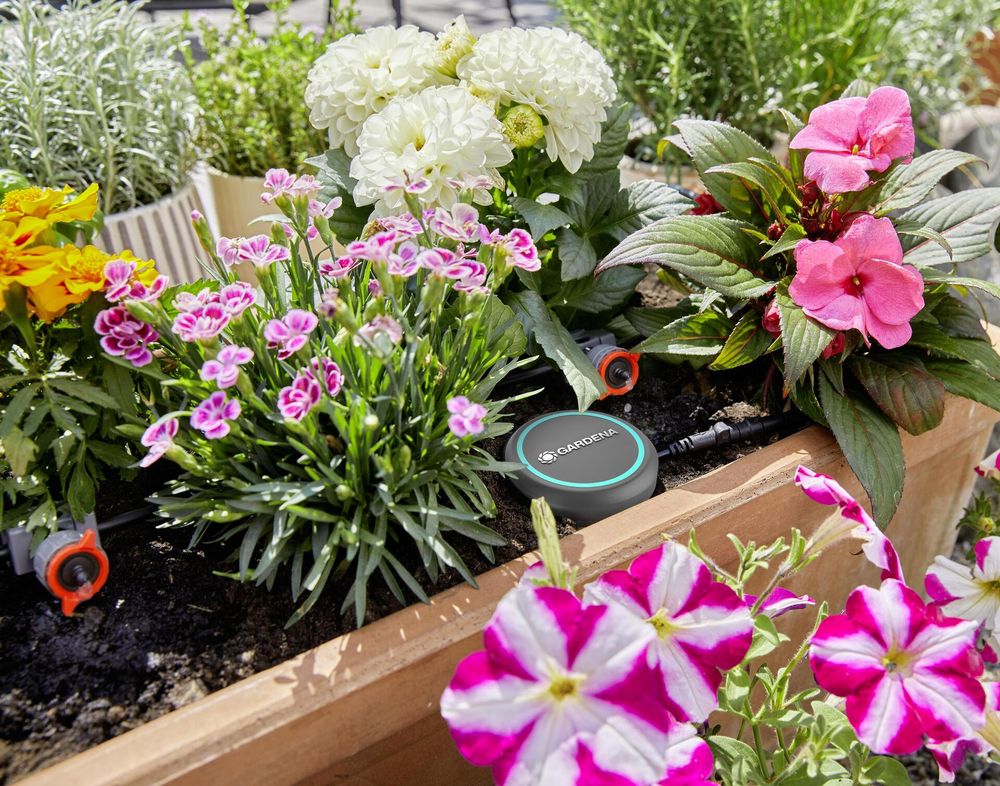 GARDENA Bodenfeuchtesensor – automatische Bewässerungssteuerung nach Bodenfeuchte