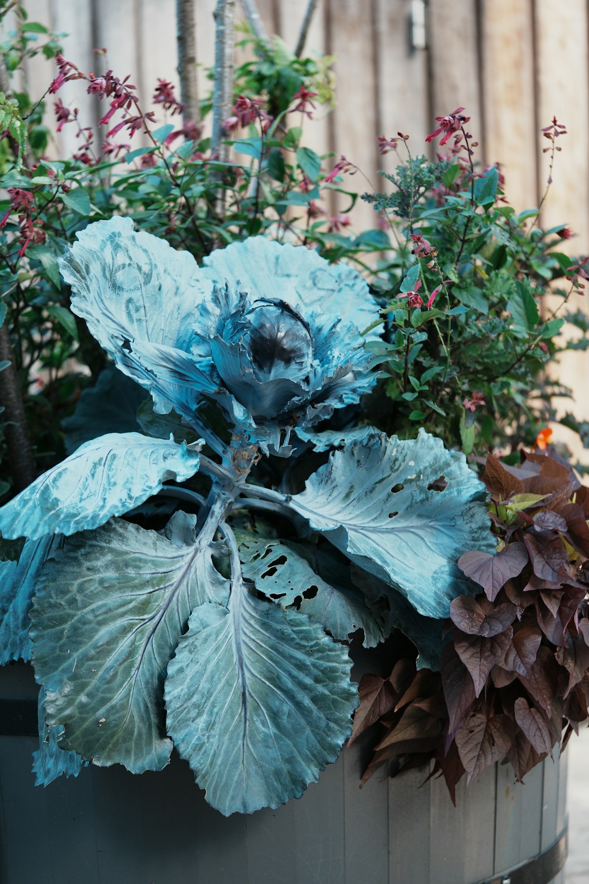 Kann Hochbeet-Set Wellino Stein-Optik grau