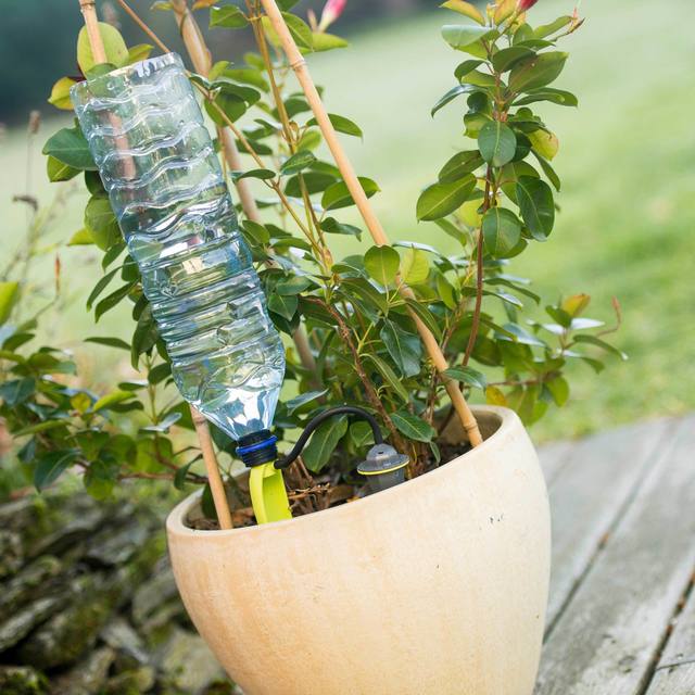 Iriso Tropfbewässerungssystem 4er-Set – Produktfoto des Händlers