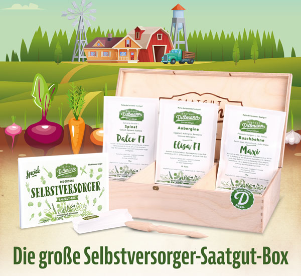 Die große Selbstversorger-Saatgut-Box mit 32 Sorten und Holzkiste